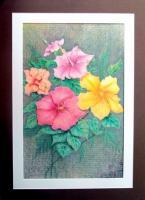 Florals  Foliage - Hibiscus Penciled - Color Pencils